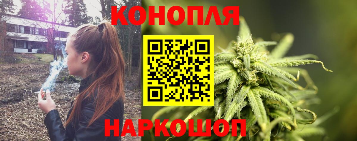 Канабис гибрид Йошкар-Ола